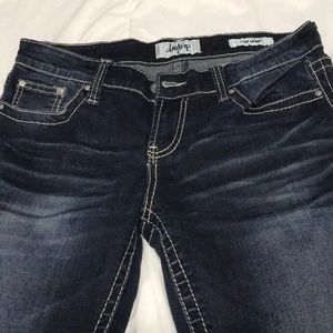 Day trip LYNX skinny jeans from buckle